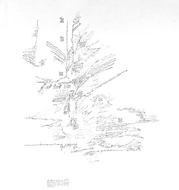 drawings on Writing