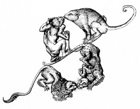 drawings on Writing
