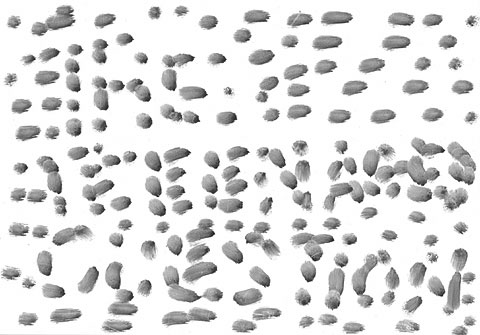drawings on Writing
