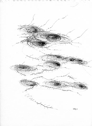 drawings on Writing